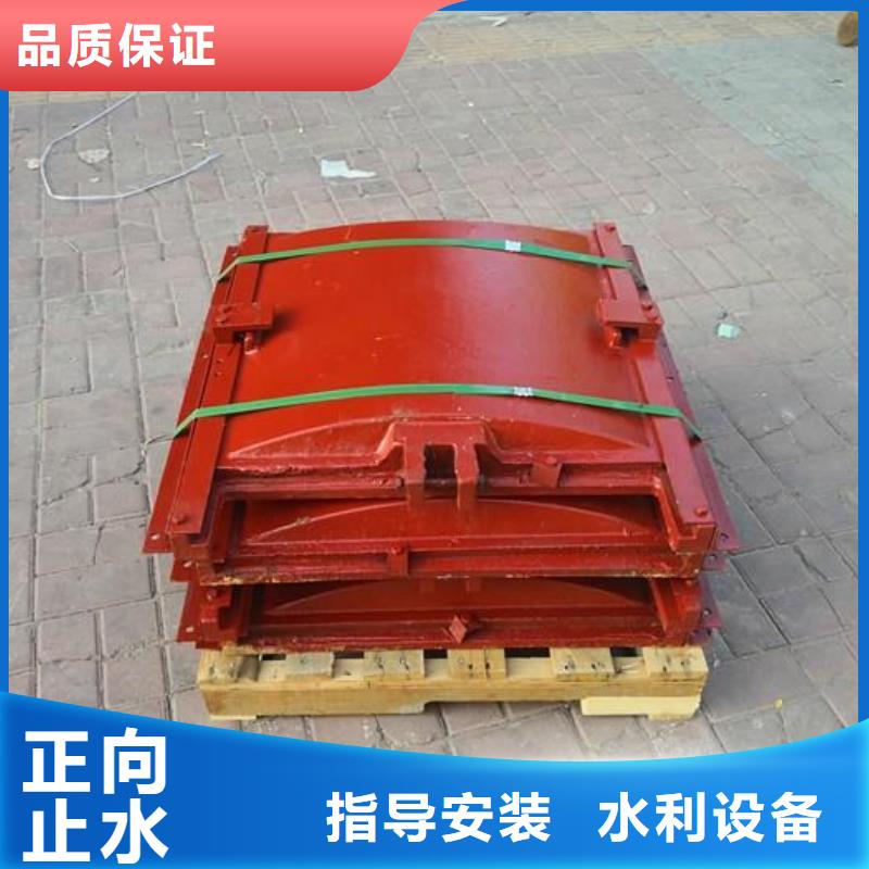 日喀则机闸一体铸铁闸门信誉至上水电站水渠铸铁闸门实力优品
