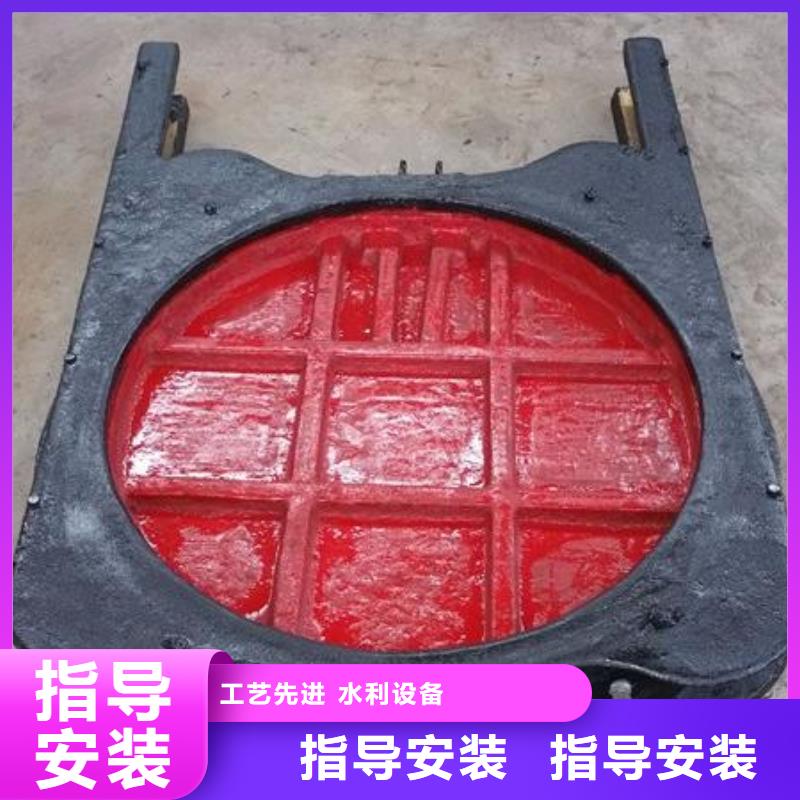 江苏水产养殖河道铸铁闸门正向止水