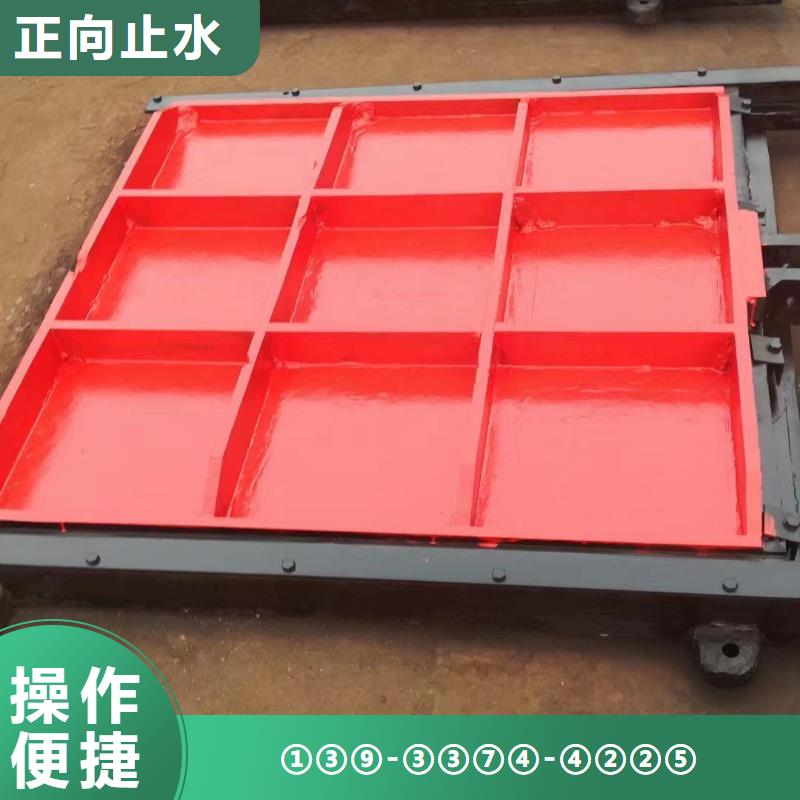 绵阳市政建设机闸一体闸门免费上门