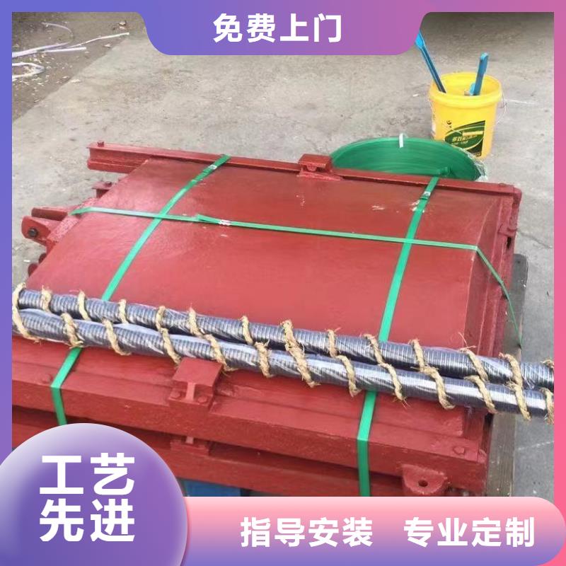 绍兴水产养殖暗杆式铸铁镶铜闸门反向止水