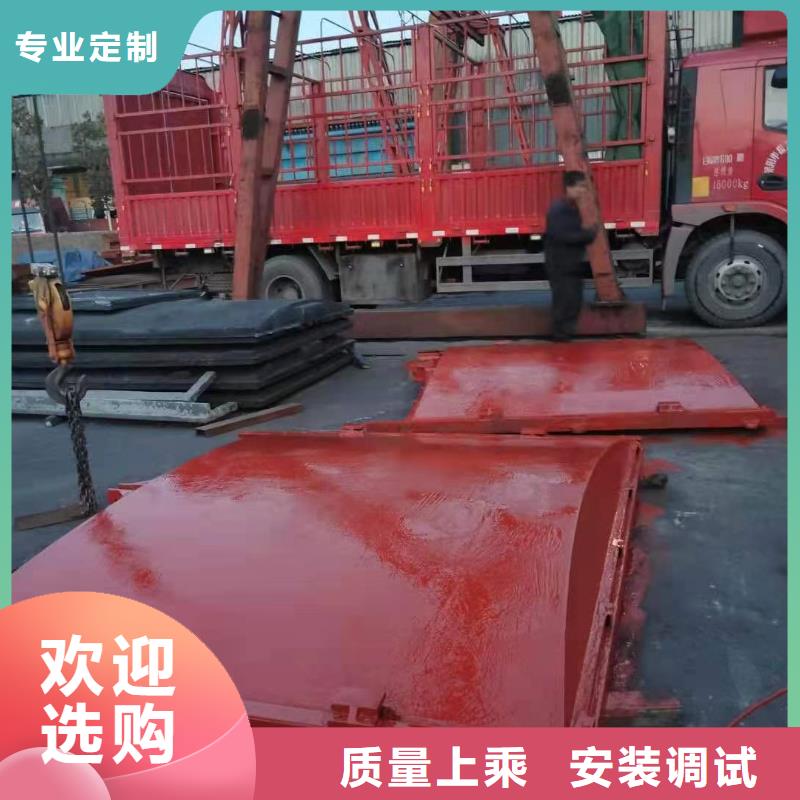 江苏水产养殖河道铸铁闸门正向止水