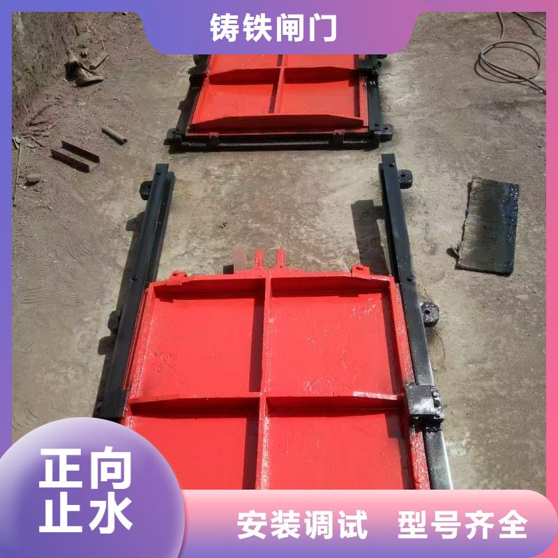 绵阳市政建设机闸一体闸门免费上门