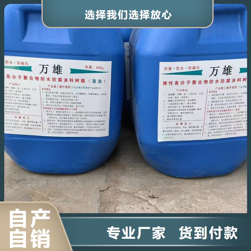 PEO抗臭氧氧化防腐涂料品质服务诚信为本专业防臭氧氟碳涂料