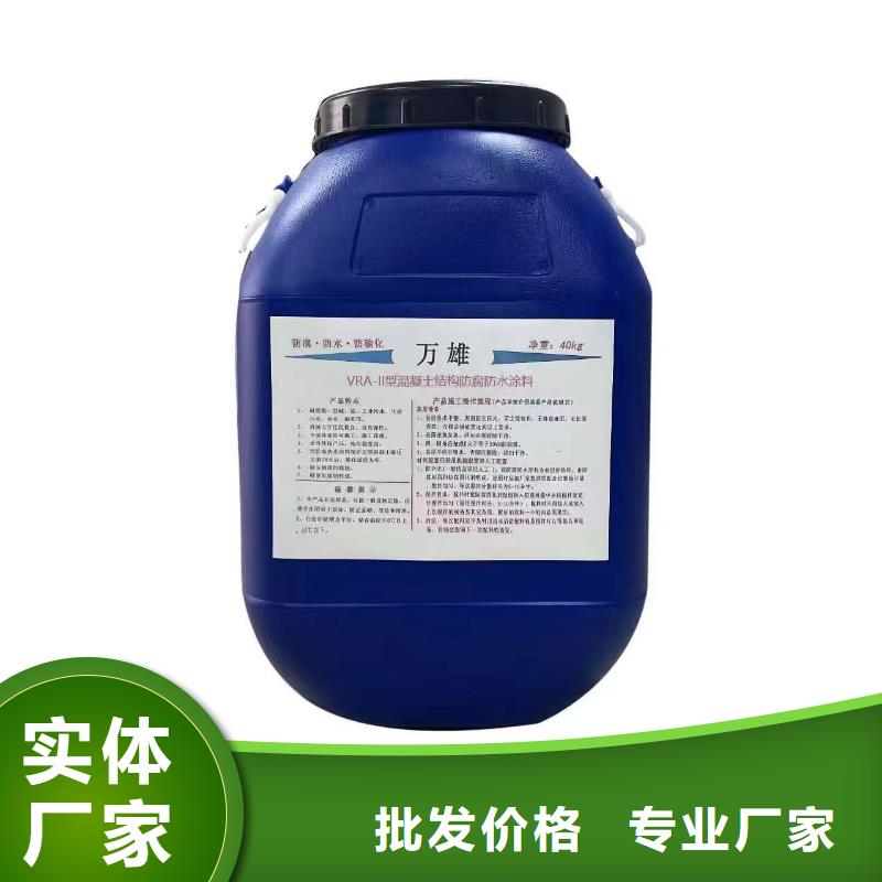 RJA防腐防水涂料畅销本地加工CSPA复合防腐防水涂料