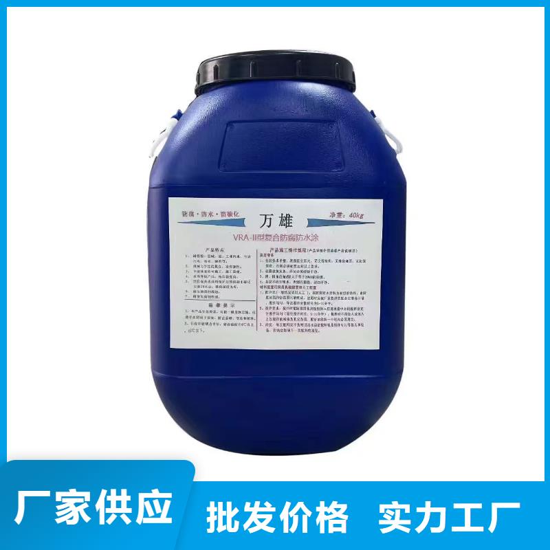 弹性重防腐特种涂料物美价优规格齐全乙烯基酯复合防腐防水涂料