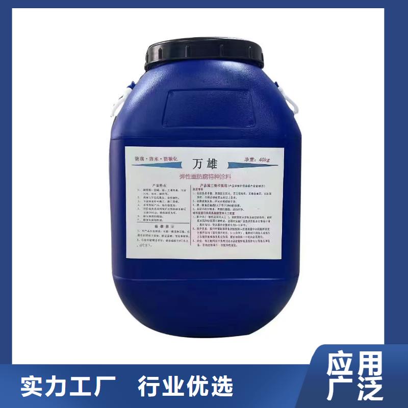 RJA防腐防水涂料畅销本地加工CSPA复合防腐防水涂料