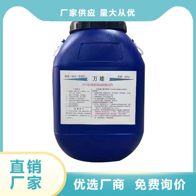 RJA防腐防水涂料畅销本地加工CSPA复合防腐防水涂料