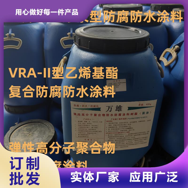 弹性高分子聚合物防水防腐涂料货源足质量好应用广泛ES污水池专用防腐涂料