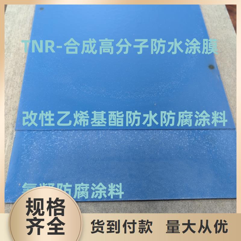 ES污水池专用防腐涂料真材实料诚信经营免费询价AST合成高分子防水涂膜