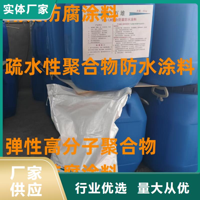 RLFA水性聚乙烯防腐涂料（污水厂）专业生产直销LM复合防腐防水涂料