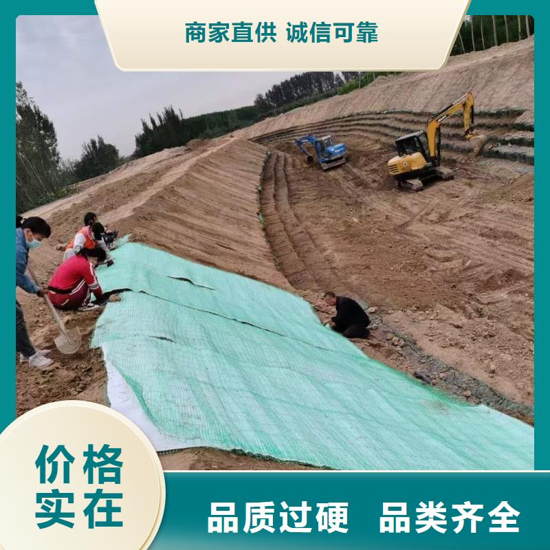 椰丝毯厂家实力大