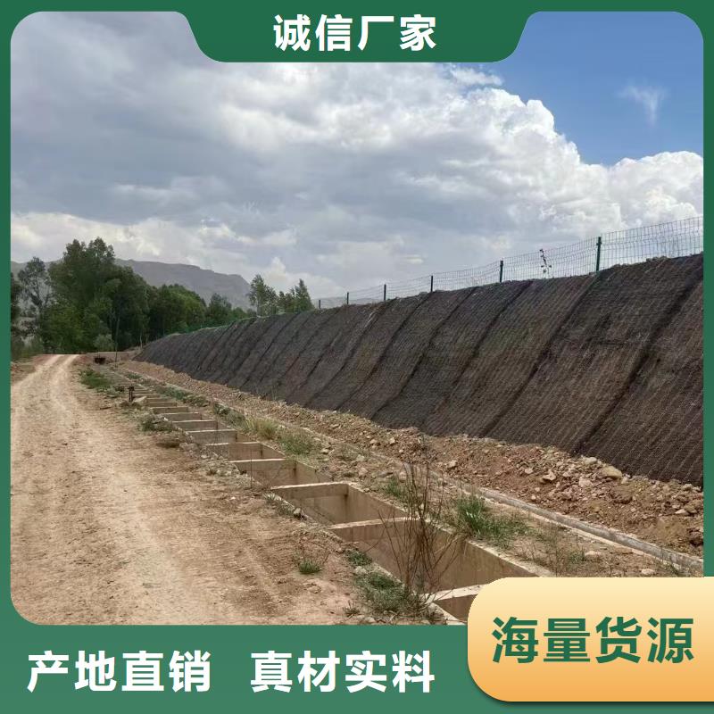 河道护坡植草毯专业信赖厂家