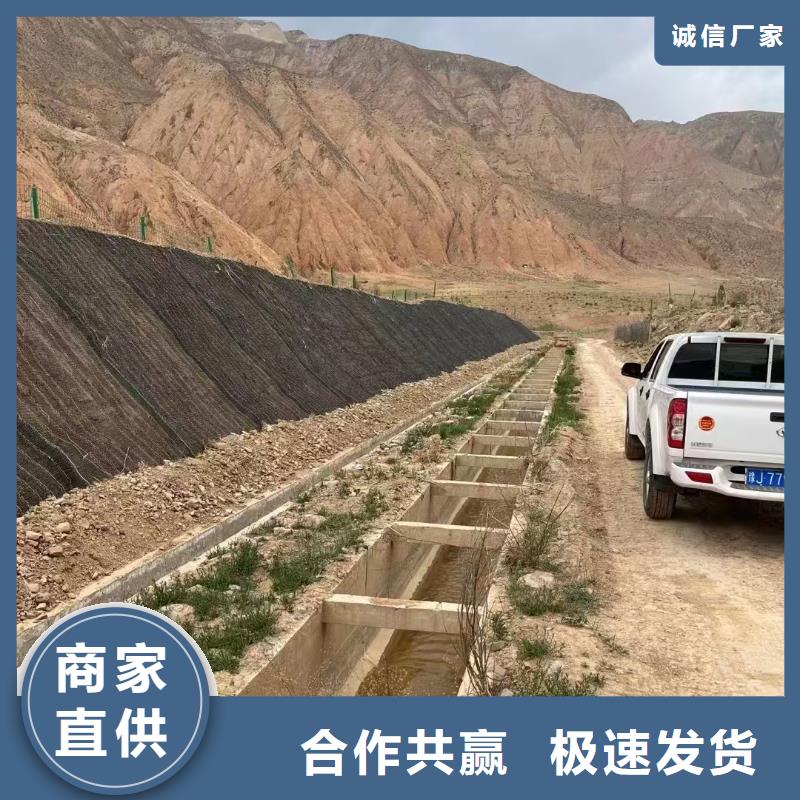 矿山复垦沙漠治理椰丝毯厂家实力大