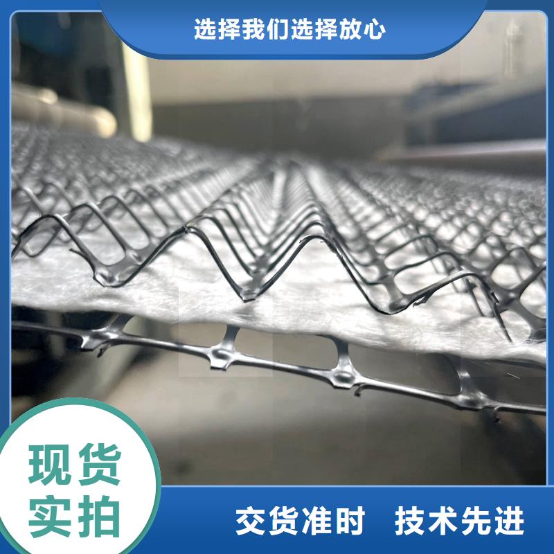 河道护坡植草毯专业信赖厂家