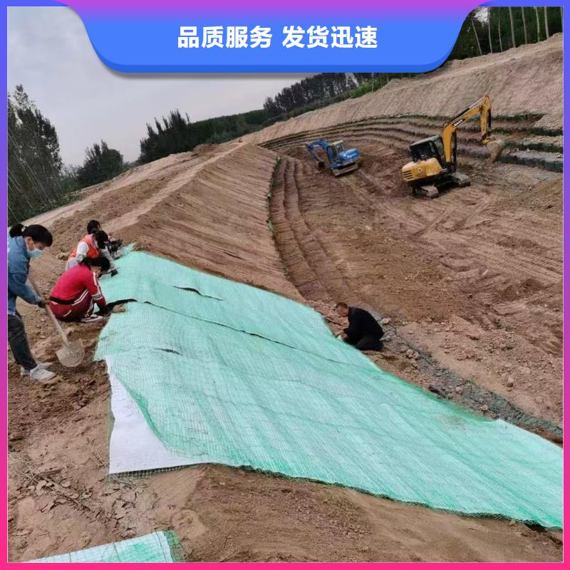 河道护坡植草毯专业信赖厂家