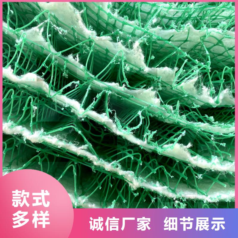 水土保护毯源头厂家量大价优