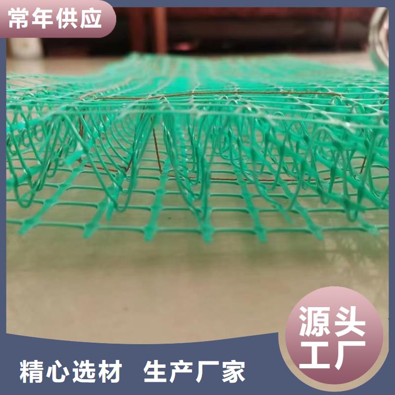 河道护坡植草毯专业信赖厂家