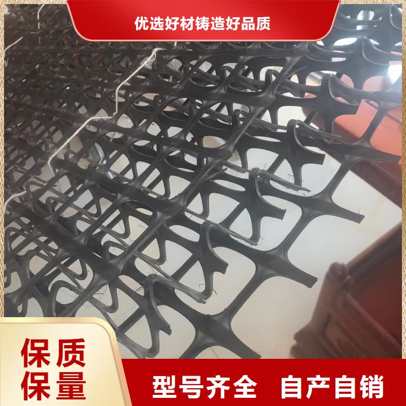 河道护坡植草毯专业信赖厂家