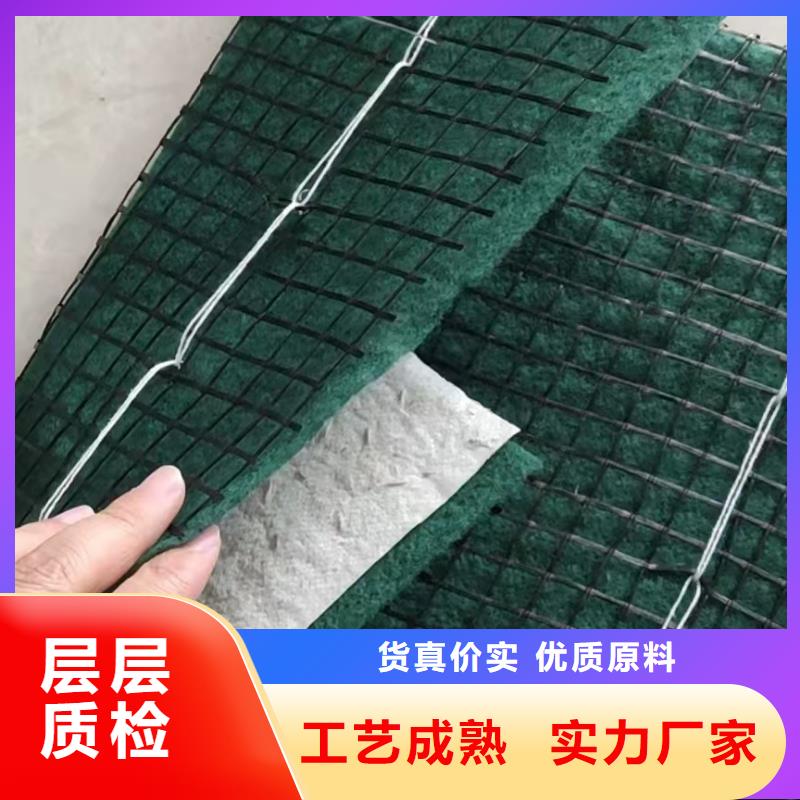 河道护坡植草毯专业信赖厂家