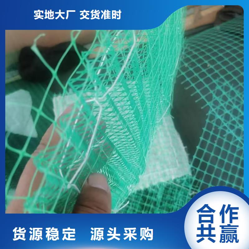 河道护坡植草毯专业信赖厂家