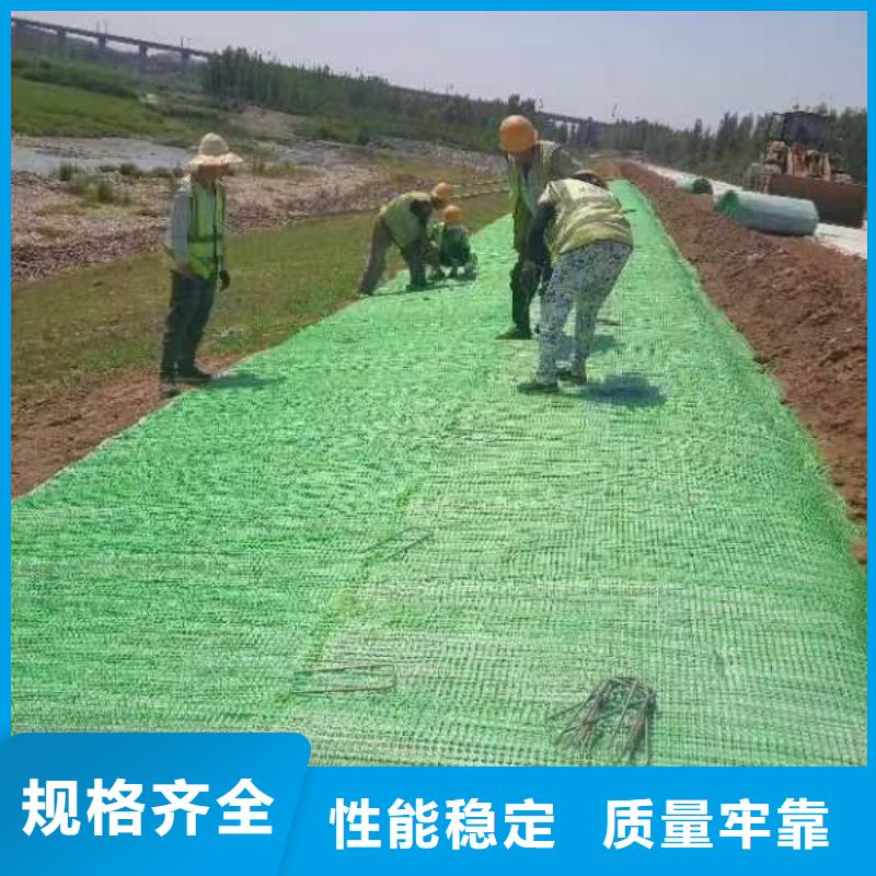 河道护坡植草毯专业信赖厂家