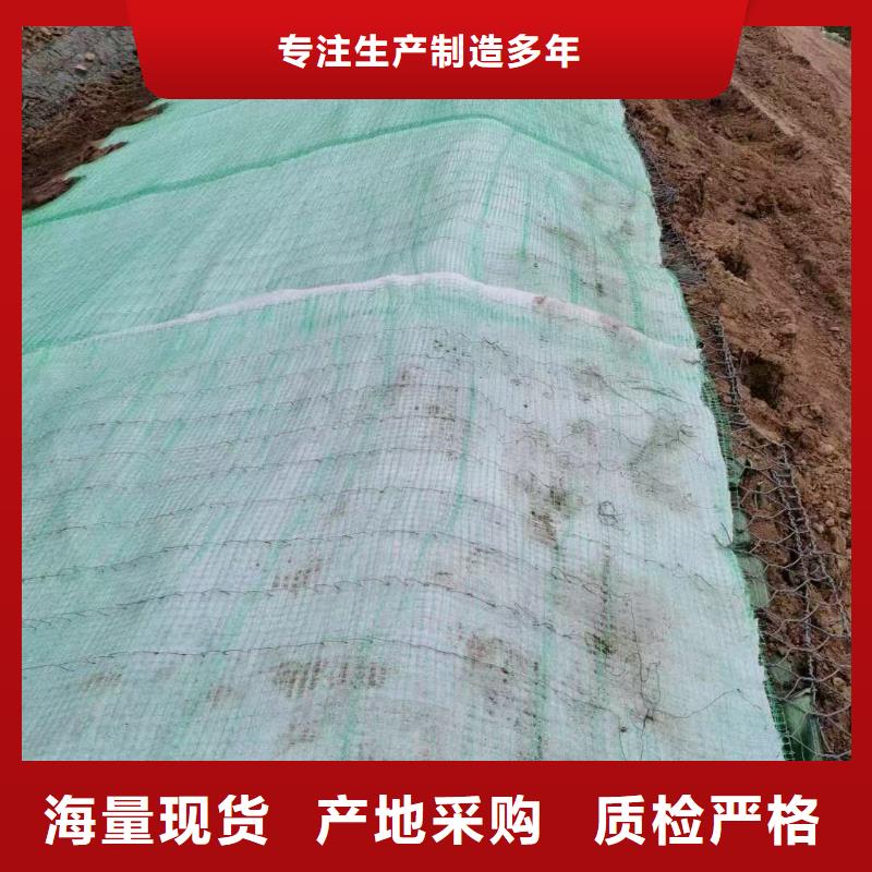 河道护坡植草毯专业信赖厂家