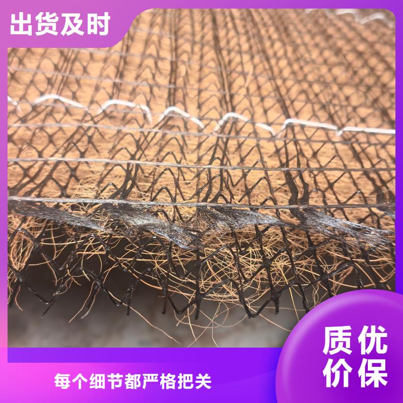 河道植物纤维毯厂家直营