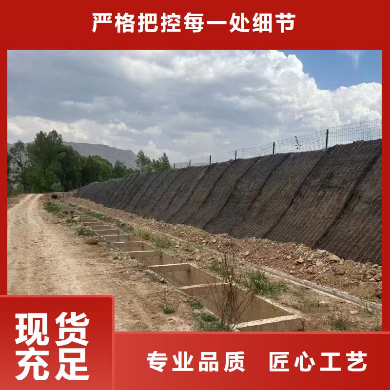 边坡绿化稻草毯实体厂家大量现货