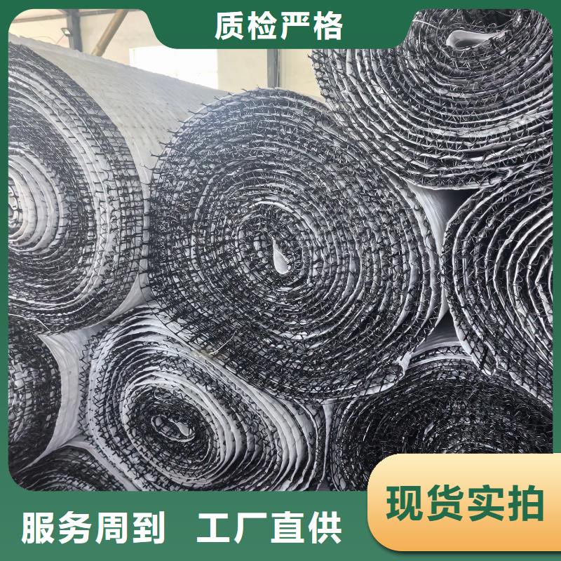 草种椰丝毯厂家直销货源充足