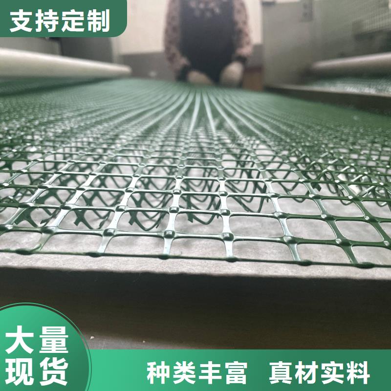 植生椰丝毯厂家直销规格多样