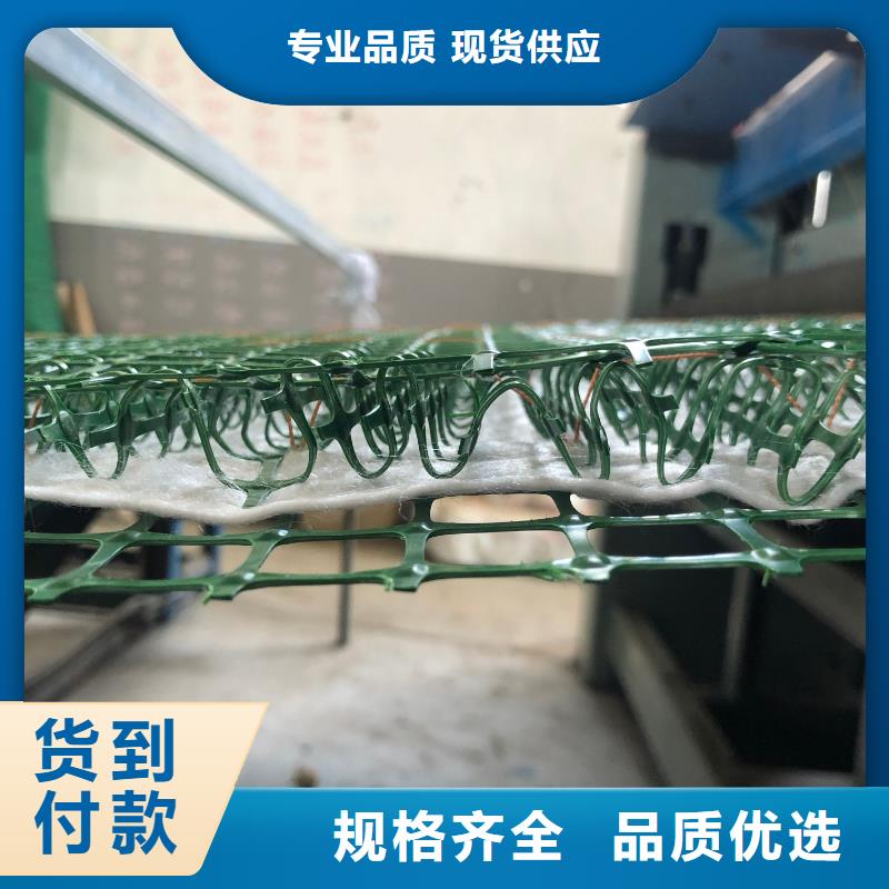 河道护坡植草毯专业信赖厂家