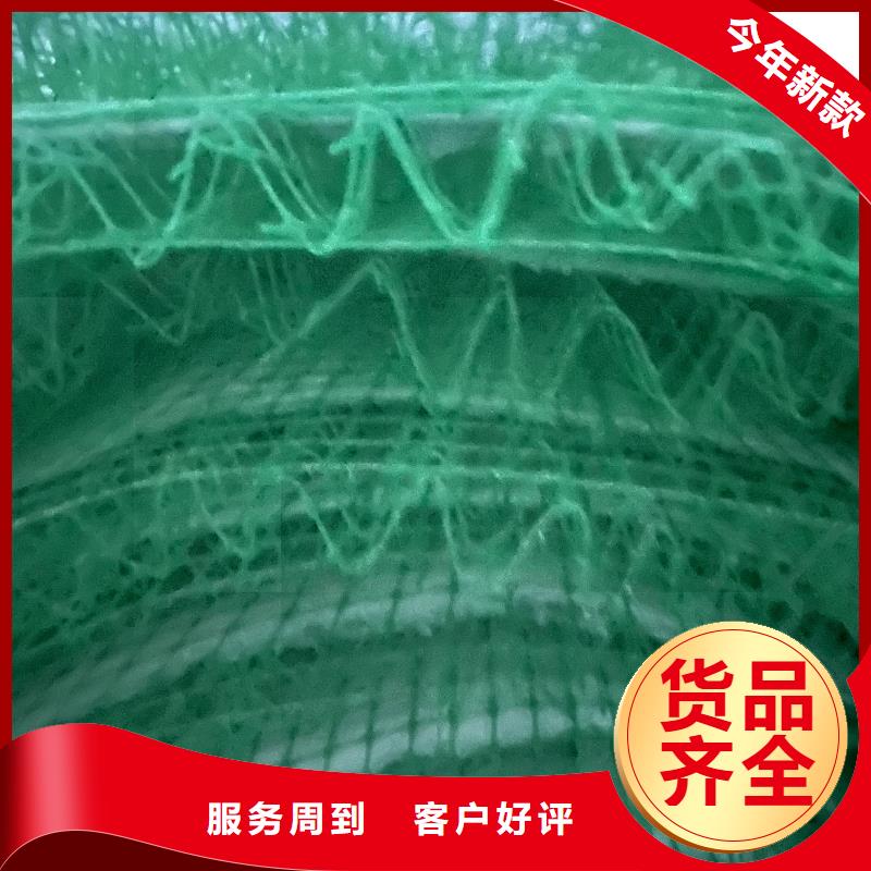 水土保护毯源头厂家量大价优