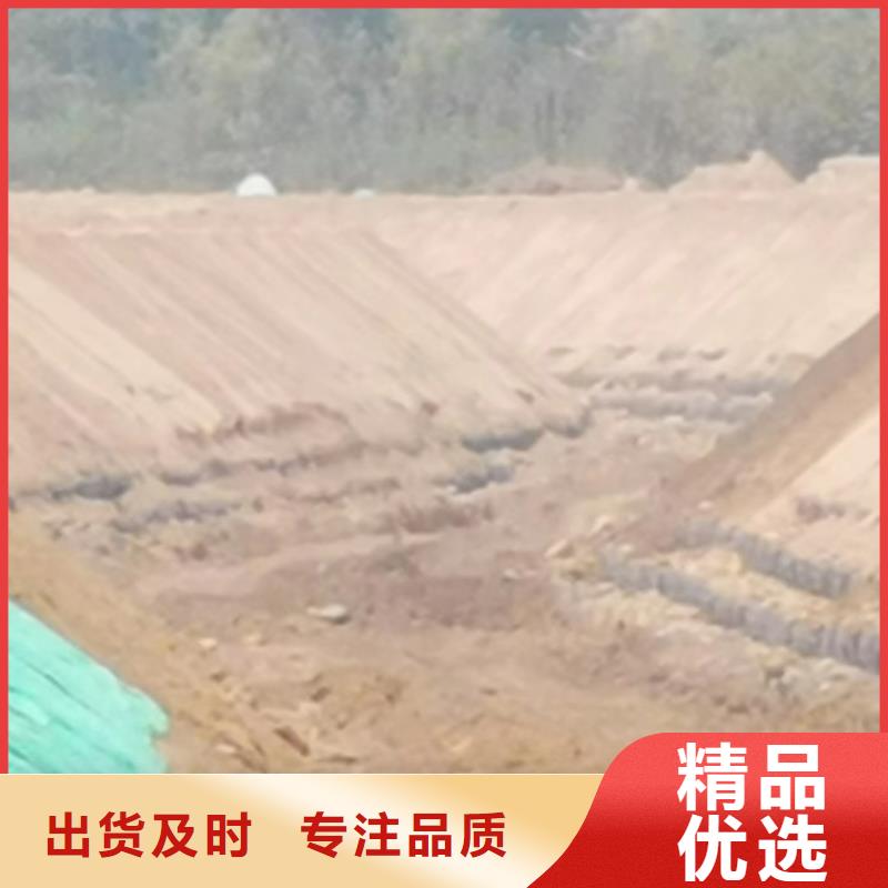 河道护坡植草毯专业信赖厂家