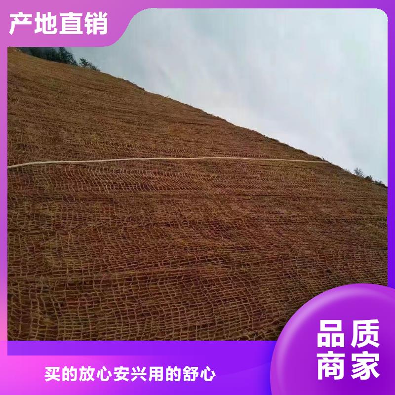 水土保护毯源头厂家量大价优