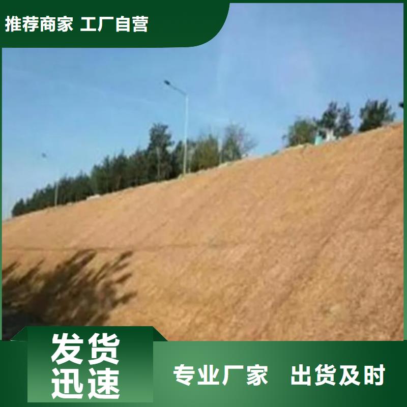 抗冲植生毯工厂