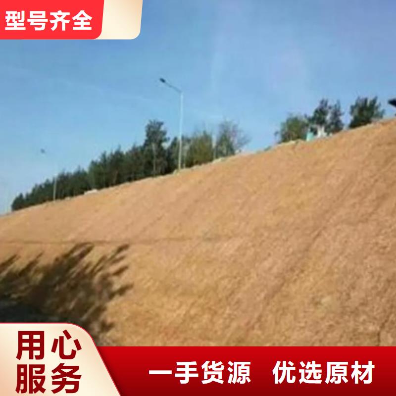 抗冲植生毯工厂