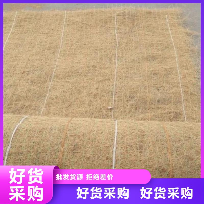 鑫海荒漠治理植被固土椰丝毯今日新品现货直发植物复合固土护坡绿化毯