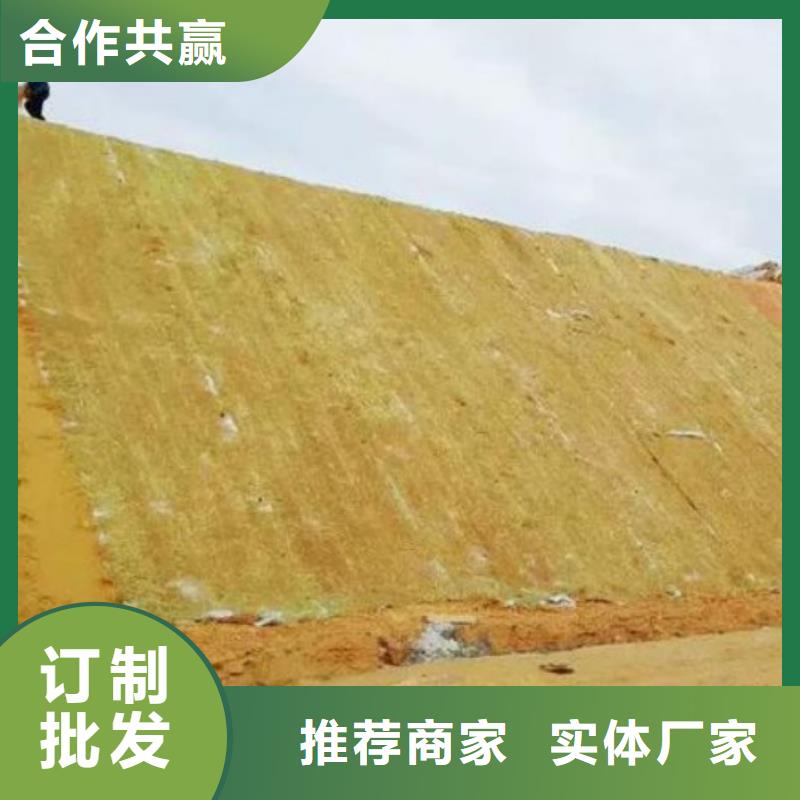 鑫海山体护坡抗冲生物毯精品选购海量现货可降解绿化护坡毯