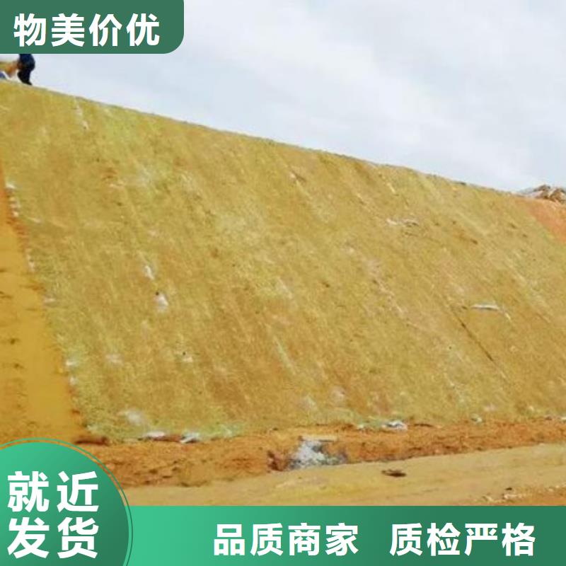 鑫海河道植物纤维毯用心做产品品牌专营