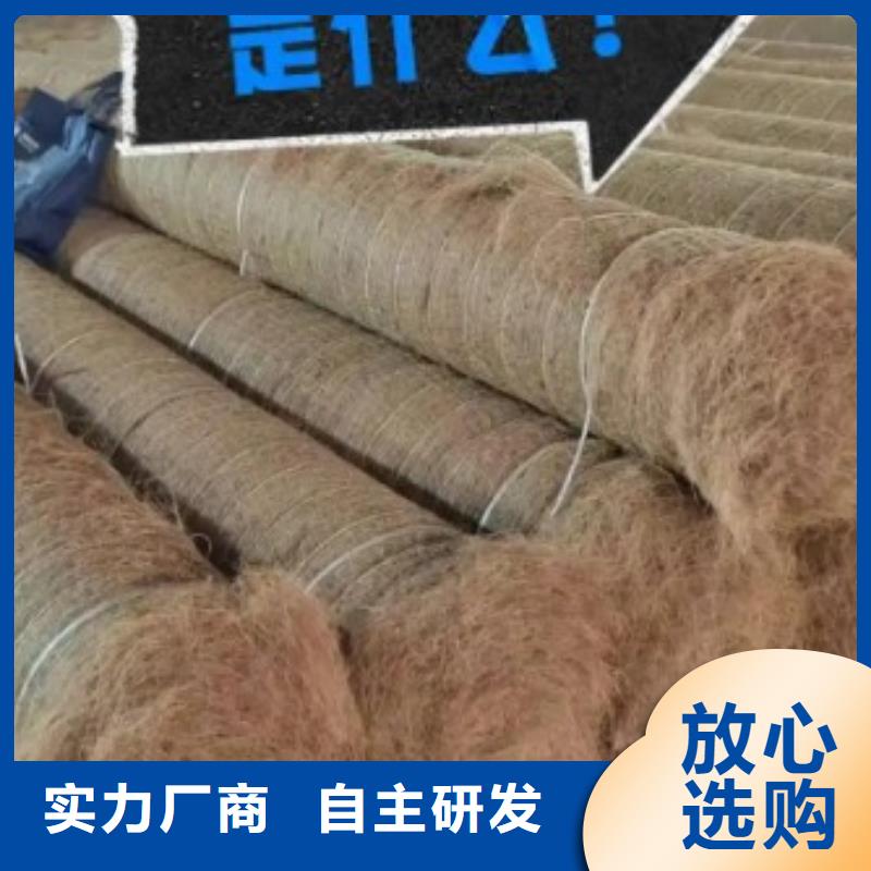鑫海山体护坡抗冲生物毯精品选购海量现货可降解绿化护坡毯