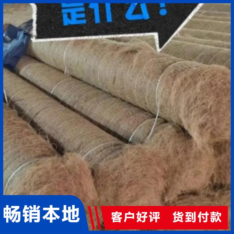 河道植物纤维毯实力厂家