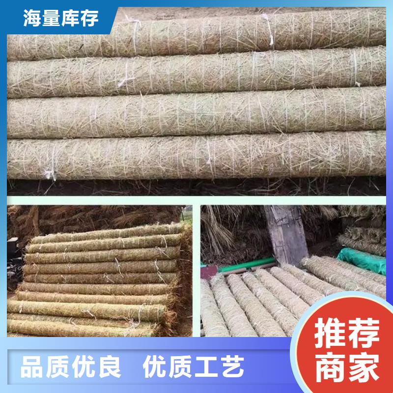 护坡植被植草毯实力厂家