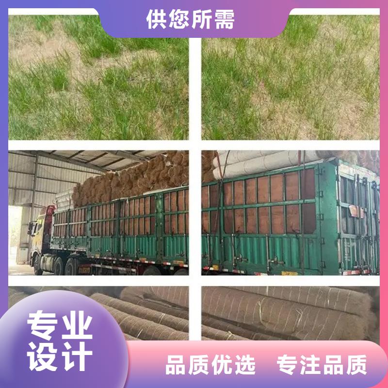 抗冲植生毯工厂