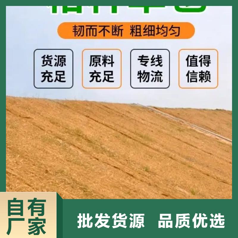 鑫海纤维植物毯用心做产品质量为本