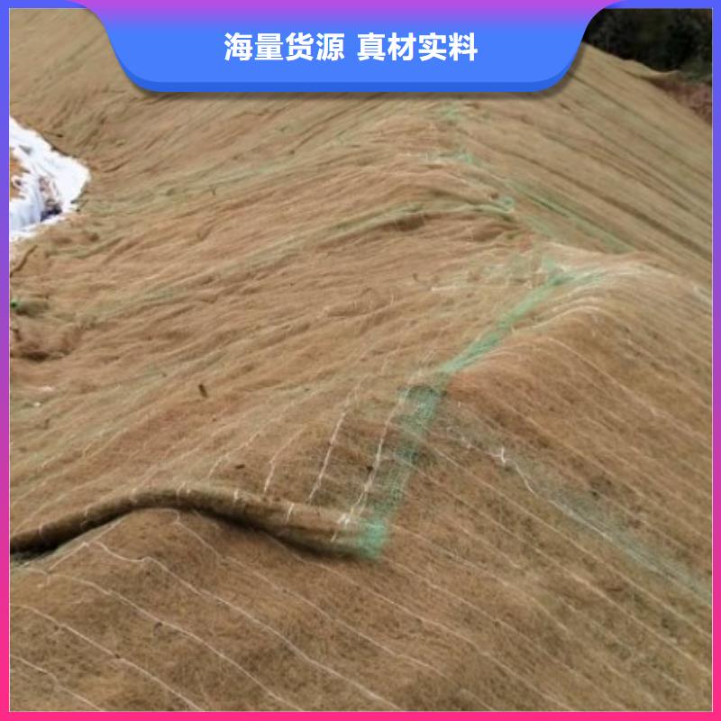 鑫海纤维植物毯联系厂家工厂批发