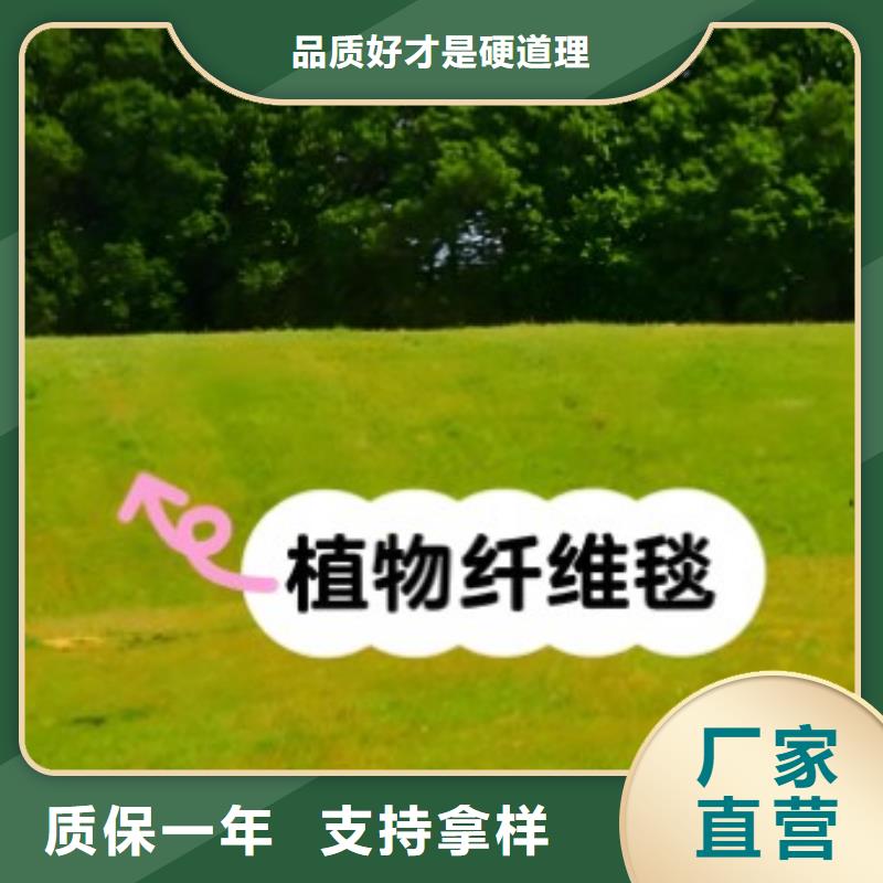 护坡植被植草毯实力厂家