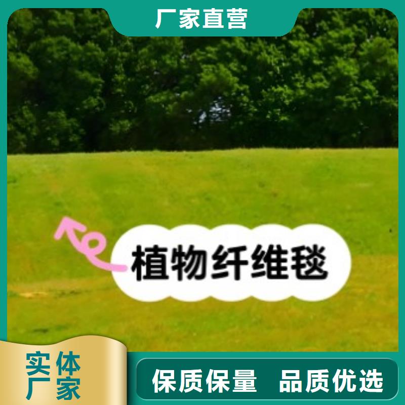 鑫海荒漠治理植被固土椰丝毯今日新品现货直发植物复合固土护坡绿化毯