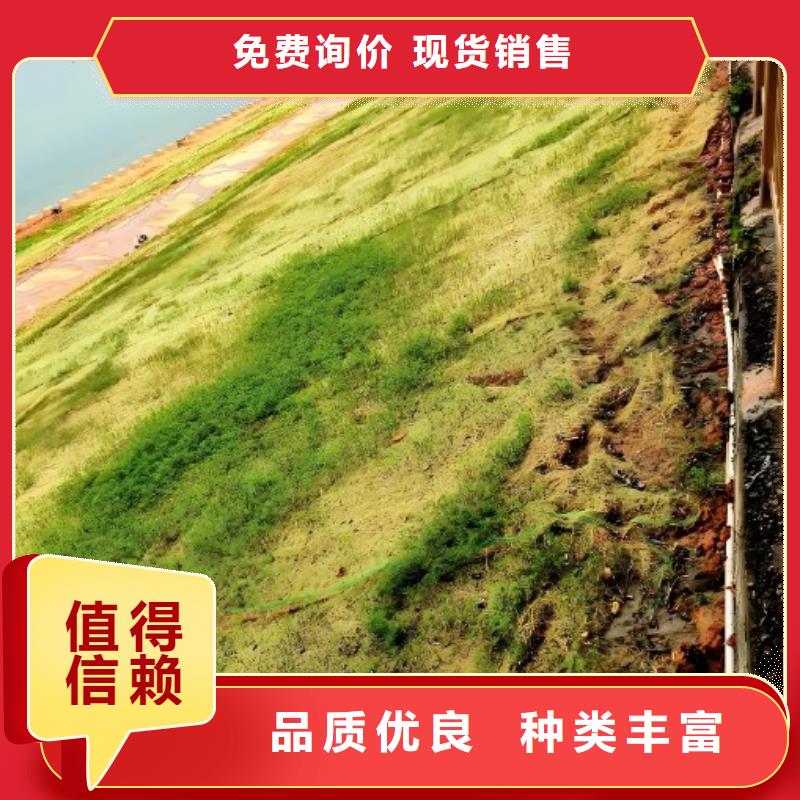 河道治理绿化防护毯厂家直销供货稳定