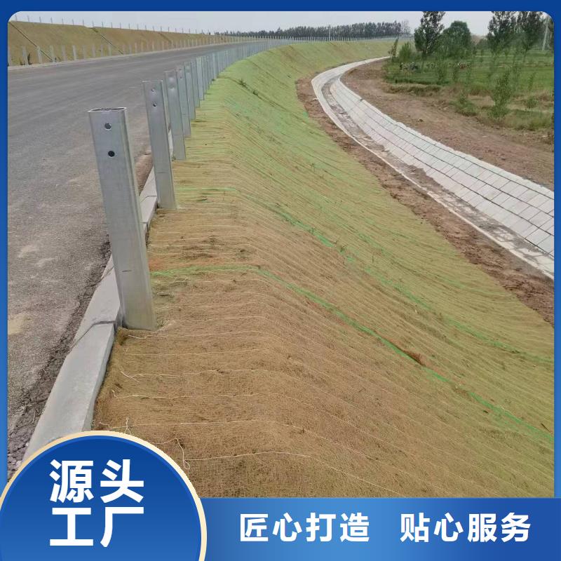 荒漠治理植被固土椰丝毯实力厂家