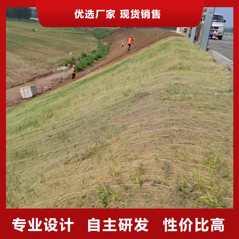 鑫海纤维植物毯用心做产品质量为本